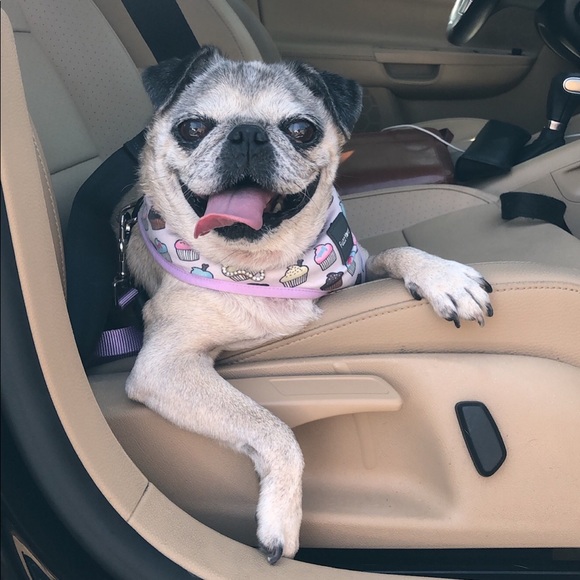 Meet your seller! - Picture 2 of 2